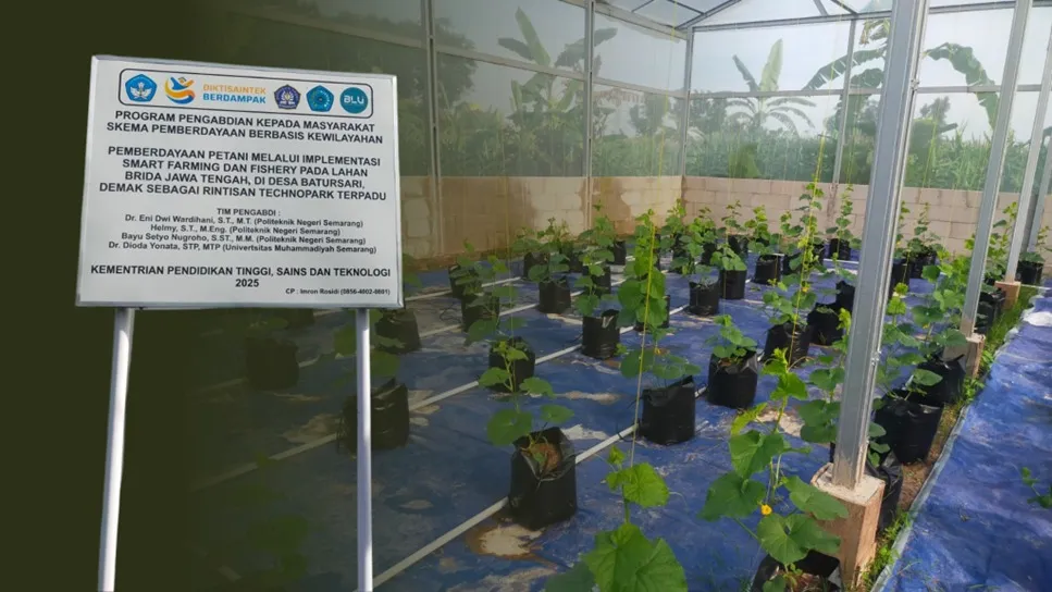 Dari Benih Jadi Buah: Greenhouse Hidroponik Karang Taruna Batursari Mulai Memasuki Masa Panen!